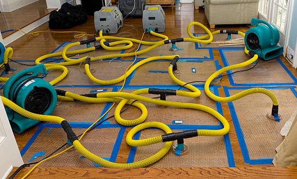 Professional Structural Drying And Dehumidification technician working in Norfolk, MA